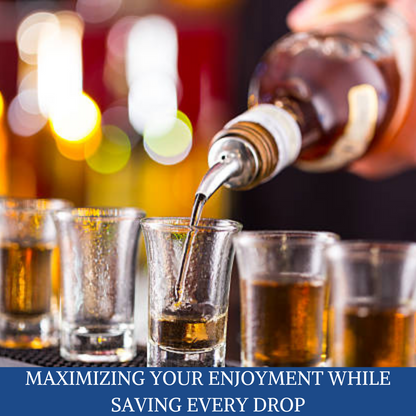 12 Pack Stainless Steel Classic Bottle Pourers