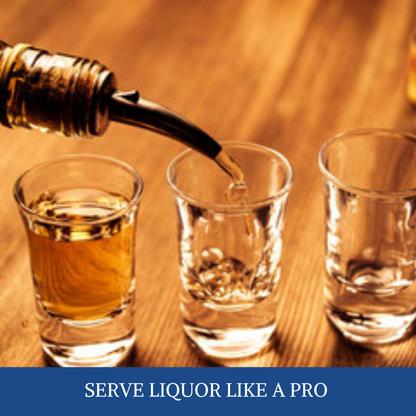 12 Pack Stainless Steel Classic Bottle Pourers