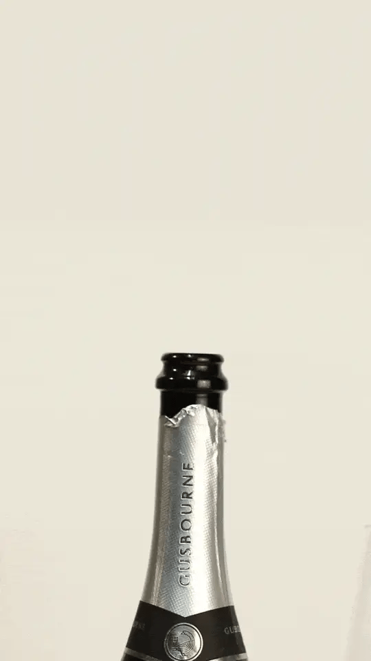 Coravin Sparkling - Wine By the Glass System