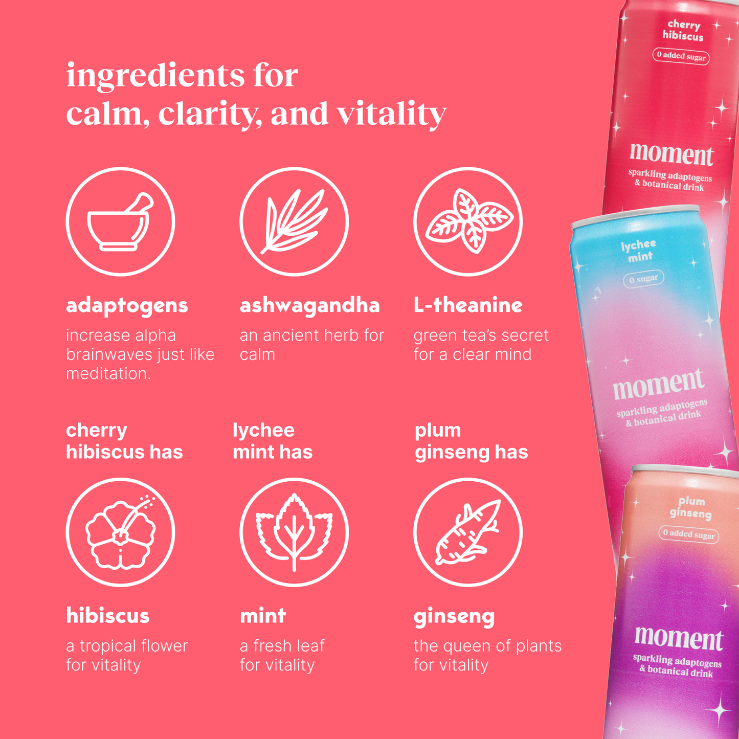 mocktail variety (sparkling mocktail | 24 pack)