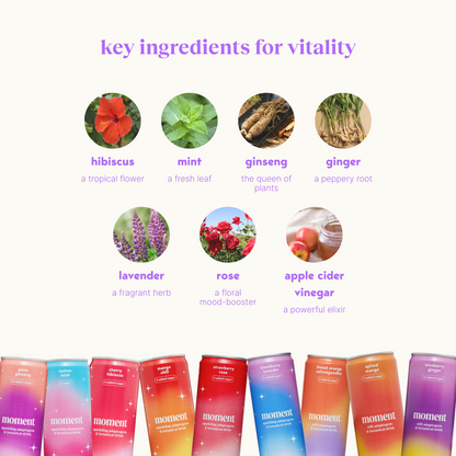 sparkling & still sampler (sparkling & still mocktail | 18 pack)