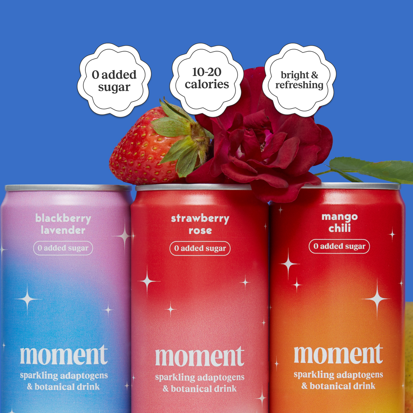 botanical soda variety (botanical soda | 18 pack)