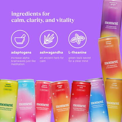 sparkling & still sampler (sparkling & still mocktail | 18 pack)