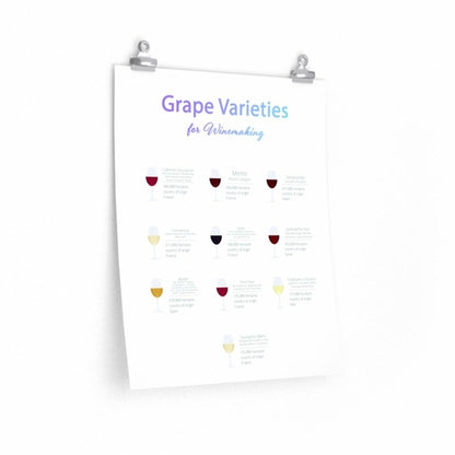 Grape Varieties for Winemaking Poster Room Decor