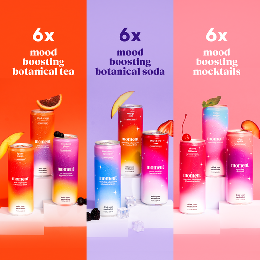 sparkling & still sampler (sparkling & still mocktail | 18 pack)